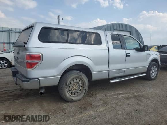 2010 Ford F-150 XL with VIN 1FTEX1C80AKE23689, listed as a Copart auction lot 80751565 with 249,418 mi miles and Salvage title. Bid and sale history available at DreamBid. Image 3.