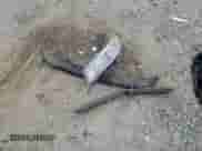 2017 Chevrolet Trax LS с VIN KL7CJNSB0HB086235, выставлен на аукционе Copart как лот 70800985 с пробегом 126 656 миль миль и Списание • Salvage title. История ставок и продаж доступна на DreamBid. Изображение 13.