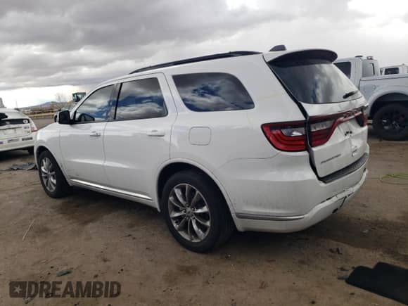 2022 Dodge Durango SXT with VIN 1C4RDHAG9NC158977, listed as a Copart auction lot 48378195 with 29,715 mi miles and Salvage title. Bid and sale history available at DreamBid. Image 2.