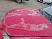 2000 Pontiac Grand Am GT с VIN 1G2NW12E7YM816246, выставлен на аукционе IAAI как лот 42297711 с пробегом Не указан миль и . История ставок и продаж доступна на DreamBid. Изображение 6.