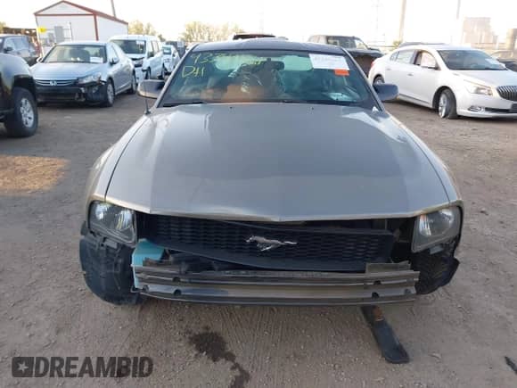 2005 Ford Mustang Deluxe with VIN 1ZVFT80N855119319, listed as a IAAI auction lot 43340661 with 106,385 mi miles and . Bid and sale history available at DreamBid. Image 12.