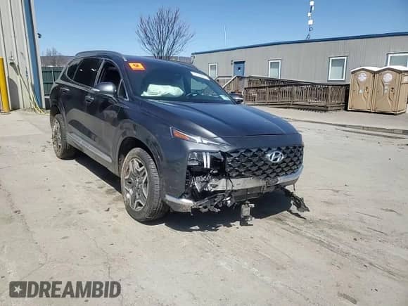 2021 Hyundai Santa Fe Calligraphy with VIN 5NMS5DALXMH332138, listed as a Copart auction lot 53534895 with 33,759 mi miles and Salvage title. Bid and sale history available at DreamBid. Image 12.