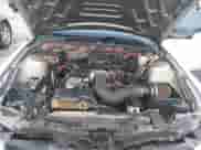 2009 Ford Mustang z VIN 1ZVHT80NX95123371, wystawiony jako IAAI lot #43326955 z przebiegiem 206 114 mil mil oraz . Historia ofert i sprzedaży dostępna na DreamBid. Obrazek 10.