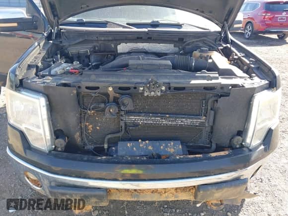 2012 Ford F-150 XL with VIN 1FTFW1ET4CFA99294, listed as a IAAI auction lot 43334565 with 226,862 mi miles and . Bid and sale history available at DreamBid. Image 10.