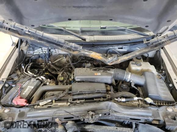 2009 Ford F-150 XL with VIN 1FTRF14W99KB81837, listed as a Copart auction lot 48488825 with 101,318 mi miles and Salvage title. Bid and sale history available at DreamBid. Image 12.