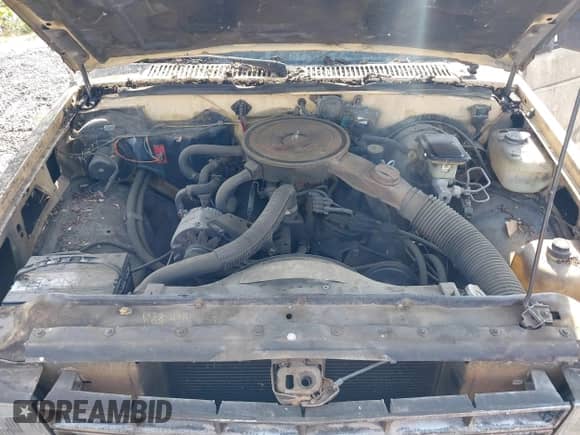 1983 Chevrolet S-10 с VIN 1GCCS14B6D0141914, выставлен на аукционе IAAI как лот 43111918 с пробегом 72 649 миль миль и . История ставок и продаж доступна на DreamBid. Изображение 10.