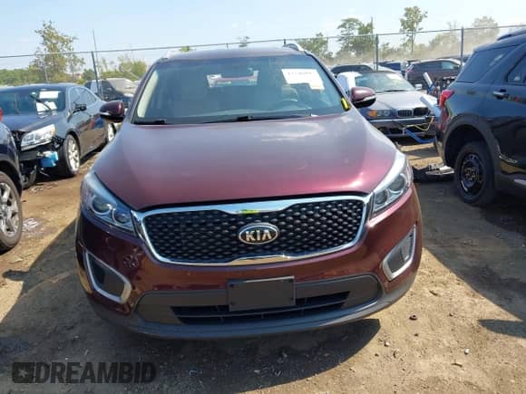 2017 Kia Sorento LX z VIN 5XYPGDA54HG334193, wystawiony jako IAAI lot #43246955 z przebiegiem 133 519 mil mil oraz . Historia ofert i sprzedaży dostępna na DreamBid. Obrazek 12.