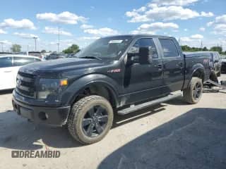 2013 Ford F-150 Platinum with VIN 1FTFW1EF5DFD98904, listed as a Copart auction lot 70062025 with 128,947 mi miles and Salvage title. Bid and sale history available at DreamBid. Image 1.