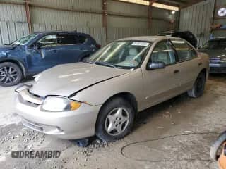 2003 Chevrolet Cavalier с VIN 1G1JC52F937210143, выставлен на аукционе Copart как лот 61801935 с пробегом 203 832 миль миль и Списание • Salvage title. История ставок и продаж доступна на DreamBid. Изображение 1.