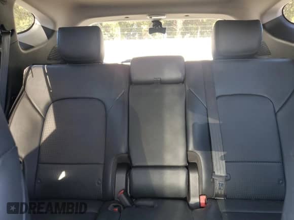 2015 Hyundai Santa Fe with VIN 5XYZWDLA2FG275552, listed as a Copart auction lot 87177805 with 188,947 mi miles and Salvage title. Bid and sale history available at DreamBid. Image 10.