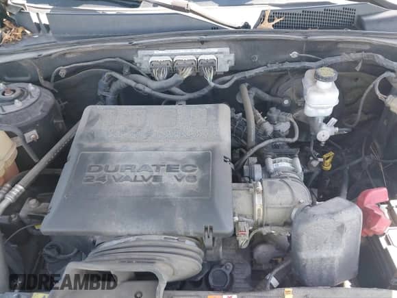 2011 Ford Escape XLT with VIN 1FMCU9DG6BKB40960, listed as a IAAI auction lot 42183576 with 259,427 mi miles and . Bid and sale history available at DreamBid. Image 10.