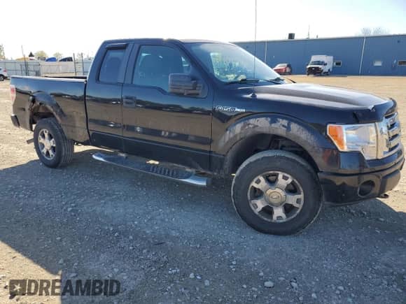 2010 Ford F-150 XL with VIN 1FTEX1EWXAKB69663, listed as a Copart auction lot 85743725 with 230,779 mi miles and Salvage title. Bid and sale history available at DreamBid. Image 4.