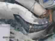 2017 Nissan Pathfinder SV z VIN 5N1DR2MN1HC611945, wystawiony jako IAAI lot #41932165 z przebiegiem 131 275 mil mil oraz . Historia ofert i sprzedaży dostępna na DreamBid. Obrazek 9.