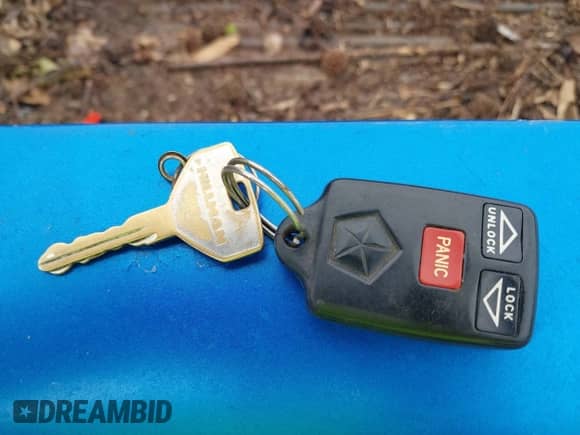 1998 Dodge Dakota SLT с VIN 1B7GL22X8WS564438, выставлен на аукционе IAAI как лот 42344252 с пробегом 137 973 миль миль и . История ставок и продаж доступна на DreamBid. Изображение 11.