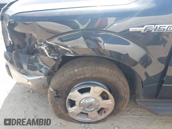 2009 Ford F-150 XL with VIN 1FTRW12809FA72857, listed as a IAAI auction lot 42571300 with 194,316 mi miles and . Bid and sale history available at DreamBid. Image 17.