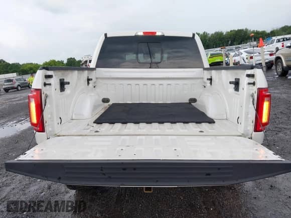 2015 Ford F-150 XLT z VIN 1FTEW1EF4FFA01987, wystawiony jako IAAI lot #42471070 z przebiegiem 123 433 mil mil oraz . Historia ofert i sprzedaży dostępna na DreamBid. Obrazek 17.