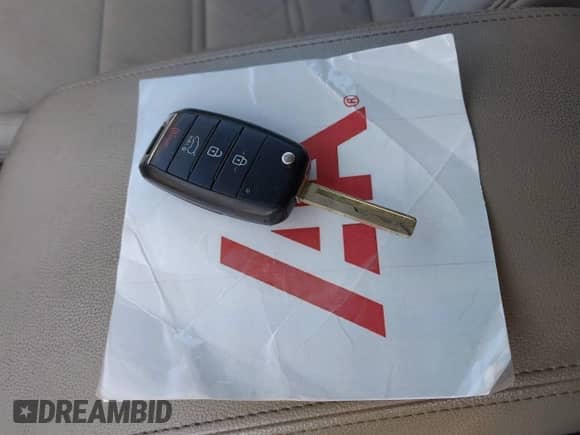 2017 Kia Sorento LX z VIN 5XYPGDA54HG334193, wystawiony jako IAAI lot #43246955 z przebiegiem 133 519 mil mil oraz . Historia ofert i sprzedaży dostępna na DreamBid. Obrazek 11.