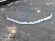 2006 Lexus IS 350 z VIN JTHBE262X65009443, wystawiony jako IAAI lot #42662476 z przebiegiem Nie podano mil oraz . Historia ofert i sprzedaży dostępna na DreamBid. Obrazek 12.