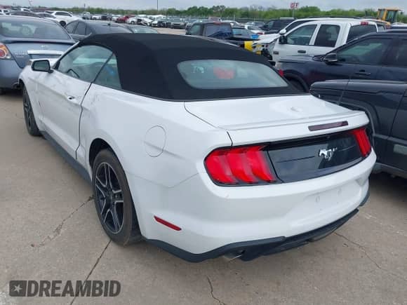 2023 Ford Mustang EcoBoost with VIN 1FATP8UH8P5111289, listed as a IAAI auction lot 41125373 with 13,219 mi miles and . Bid and sale history available at DreamBid. Image 3.