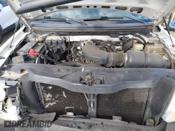 2006 Ford F-150 XL z VIN 1FTRF12W66NA87427, wystawiony jako IAAI lot #43426732 z przebiegiem 159 220 mil mil oraz . Historia ofert i sprzedaży dostępna na DreamBid. Obrazek 10.