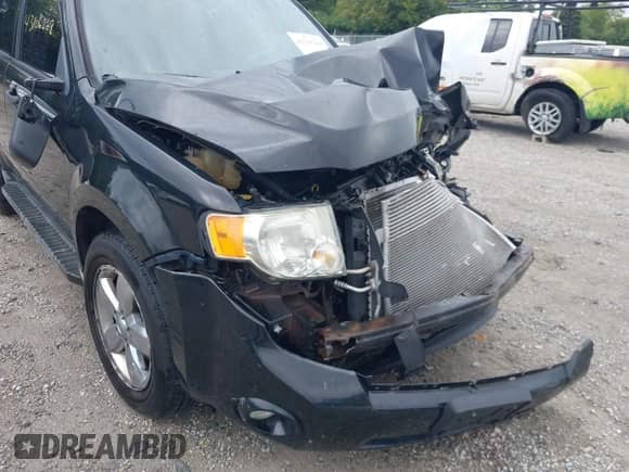 2011 Ford Escape XLT с VIN 1FMCU9D77BKA91249, выставлен на аукционе IAAI как лот 43106268 с пробегом Не указан миль и . История ставок и продаж доступна на DreamBid. Изображение 18.