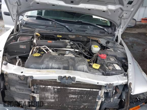 2003 Dodge Dakota Sport with VIN 1D7HG38N73S249488, listed as a IAAI auction lot 43033100 with 271,717 mi miles and . Bid and sale history available at DreamBid. Image 10.
