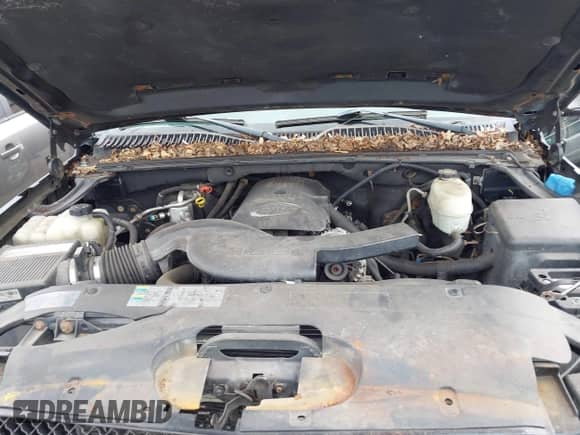 2005 Chevrolet Avalanche Z71 с VIN 3GNEK12Z25G222275, выставлен на аукционе IAAI как лот 42616935 с пробегом 168 984 миль миль и . История ставок и продаж доступна на DreamBid. Изображение 10.