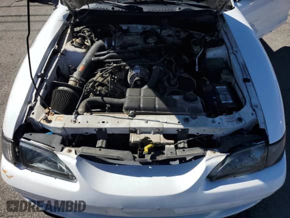 1998 Ford Mustang GT z VIN 1FAFP42X9WF179805, wystawiony jako Copart lot #82494395 z przebiegiem 142 724 mil mil oraz Szkoda całkowita • Salvage title. Historia ofert i sprzedaży dostępna na DreamBid. Obrazek 11.