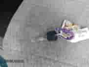 1998 Chevrolet S-10 LS z VIN 1GCCS14X9W8238993, wystawiony jako IAAI lot #40897351 z przebiegiem 202 685 mil mil oraz . Historia ofert i sprzedaży dostępna na DreamBid. Obrazek 11.