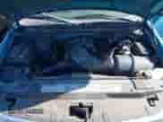 1999 Ford F-150 z VIN 1FTRX17W8XKA28419, wystawiony jako IAAI lot #43427768 z przebiegiem Nie podano mil oraz . Historia ofert i sprzedaży dostępna na DreamBid. Obrazek 10.