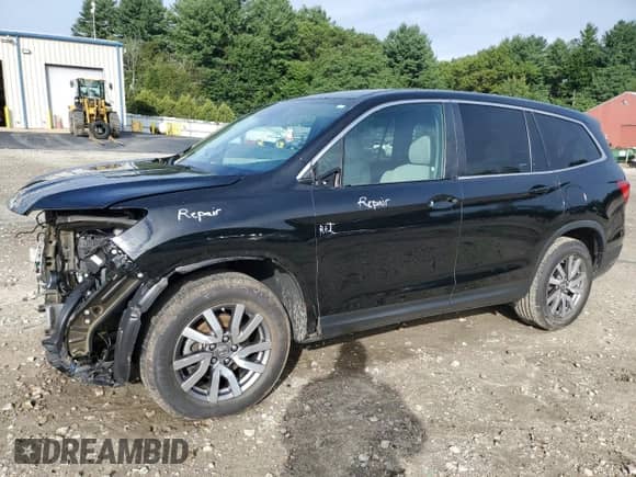 2019 Honda Pilot EX with VIN 5FNYF6H38KB088805, listed as a Copart auction lot 68812455 with 78,998 mi miles and Salvage title. Bid and sale history available at DreamBid. Image 1.
