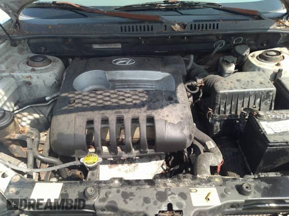 2004 Hyundai Santa Fe с VIN KM8SB12B84U785515, выставлен на аукционе IAAI как лот 39137917 с пробегом 159 963 миль миль и . История ставок и продаж доступна на DreamBid. Изображение 10.
