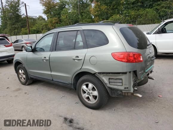 2009 Hyundai Santa Fe GLS with VIN 5NMSG13DX9H260380, listed as a Copart auction lot 81618415 with 91,627 mi miles and Salvage title. Bid and sale history available at DreamBid. Image 2.