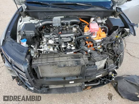 2023 Hyundai Tucson SEL Convenience with VIN KM8JFCA19PU089786, listed as a Copart auction lot 81643435 with 28,778 mi miles and Salvage title. Bid and sale history available at DreamBid. Image 11.