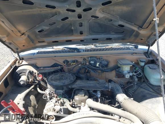 1987 Chevrolet S-10 с VIN 1GCBS14EXH2156271, выставлен на аукционе IAAI как лот 42996064 с пробегом 154 100 миль миль и . История ставок и продаж доступна на DreamBid. Изображение 8.