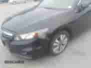 2011 Honda Accord EX with VIN 1HGCS1B75BA007841, listed as a IAAI auction lot 42597249 with 217,501 mi miles and . Bid and sale history available at DreamBid. Image 13.