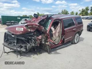 2020 Cadillac Escalade Luxury with VIN 1GYS4BKJ9LR167529, listed as a Copart auction lot 69560255 with Not provided miles and Salvage title. Bid and sale history available at DreamBid. Image 1.