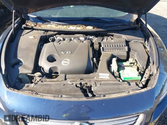 2014 Nissan Maxima SV with VIN 1N4AA5AP8EC438142, listed as a IAAI auction lot 43442495 with Not provided miles and . Bid and sale history available at DreamBid. Image 10.