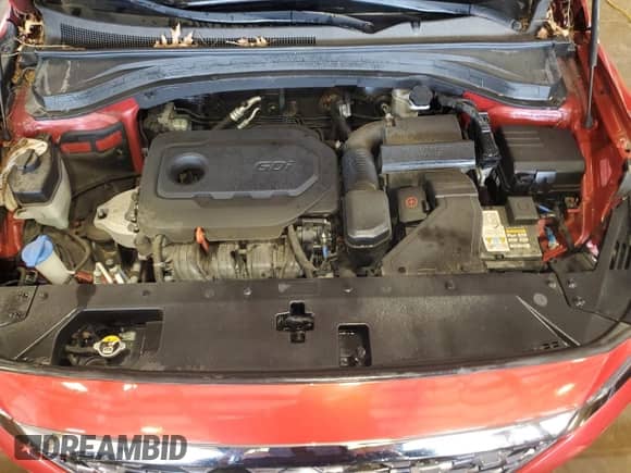 2019 Hyundai Santa Fe SEL Plus с VIN 5NMS3CAD7KH059620, выставлен на аукционе Copart как лот 55629495 с пробегом 43 721 миль миль и Списание • Salvage title. История ставок и продаж доступна на DreamBid. Изображение 12.