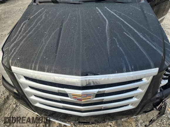 2016 Cadillac Escalade ESV Premium Collection с VIN 1GYS3JKJ5GR105077, выставлен на аукционе Copart как лот 69497525 с пробегом 141 339 миль миль и Списание • Salvage title. История ставок и продаж доступна на DreamBid. Изображение 12.