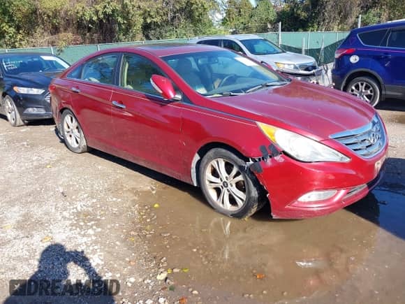 2013 Hyundai Sonata SE с VIN 5NPEC4AC9DH649723, выставлен на аукционе IAAI как лот 43492989 с пробегом 149 612 миль миль и . История ставок и продаж доступна на DreamBid. Изображение 1.