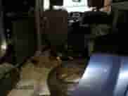 2015 Chevrolet City Express Cargo LT с VIN 3N63M0ZN6FK698483, выставлен на аукционе Copart как лот 44246225 с пробегом Не указан миль и Списание • Salvage title. История ставок и продаж доступна на DreamBid. Изображение 10.