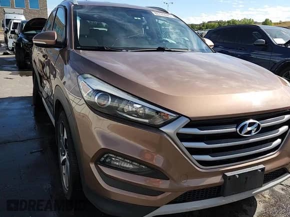 2017 Hyundai Tucson Limited с VIN KM8J3CA20HU311246, выставлен на аукционе Copart как лот 80729445 с пробегом 96 762 миль миль и Списание • Salvage title. История ставок и продаж доступна на DreamBid. Изображение 13.
