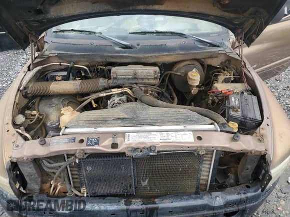 2001 Dodge 1500 with VIN 1B7HC16Y51S704794, listed as a Copart auction lot 73159054 with 305,722 mi miles and Salvage title. Bid and sale history available at DreamBid. Image 11.