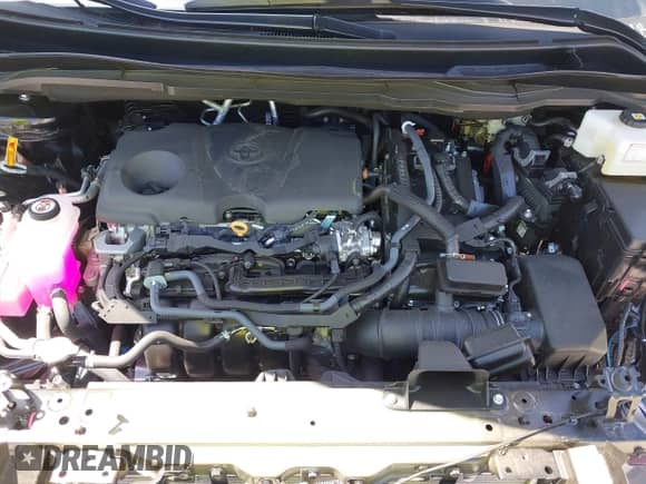 2025 Toyota Sienna LE с VIN 5TDKRKEC6SS233202, выставлен на аукционе IAAI как лот 42486796 с пробегом 5 143 миль миль и . История ставок и продаж доступна на DreamBid. Изображение 10.