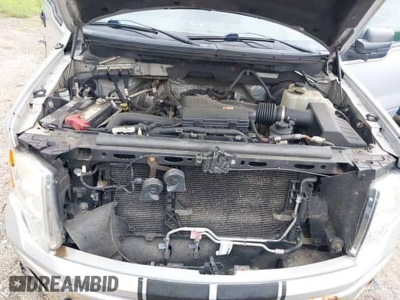 2009 Ford F-150 XL с VIN 1FTRF14W49KB67005, выставлен на аукционе IAAI как лот 43568212 с пробегом 197 731 миль миль и . История ставок и продаж доступна на DreamBid. Изображение 10.