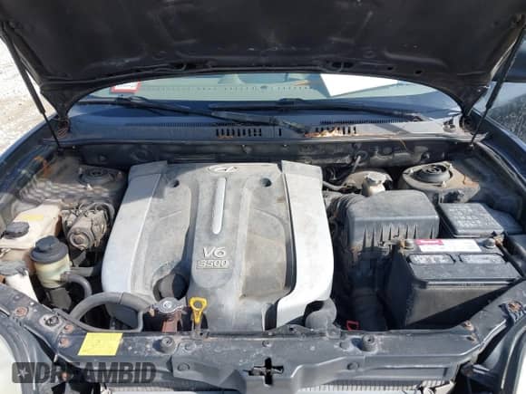 2004 Hyundai Santa Fe GLS с VIN KM8SC13E64U742880, выставлен на аукционе IAAI как лот 41764097 с пробегом 126 559 миль миль и . История ставок и продаж доступна на DreamBid. Изображение 10.
