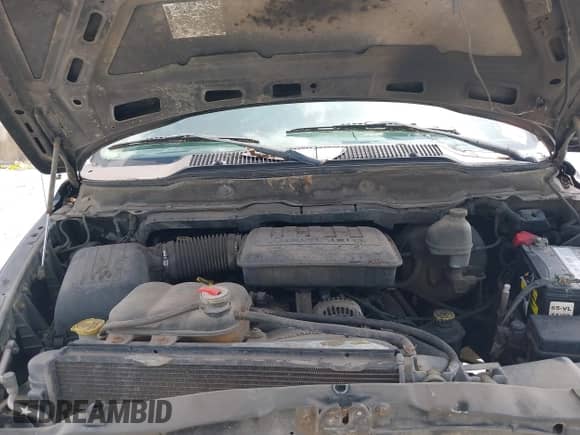 2002 Dodge 1500 с VIN 3D7HU18N22G193219, выставлен на аукционе IAAI как лот 42554408 с пробегом 183 479 миль миль и . История ставок и продаж доступна на DreamBid. Изображение 10.