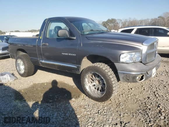 2002 Dodge RAM z VIN 1B7HA16N02J118586, wystawiony jako Copart lot #81756154 z przebiegiem 131 362 mil mil oraz Szkoda całkowita • Salvage title. Historia ofert i sprzedaży dostępna na DreamBid. Obrazek 4.