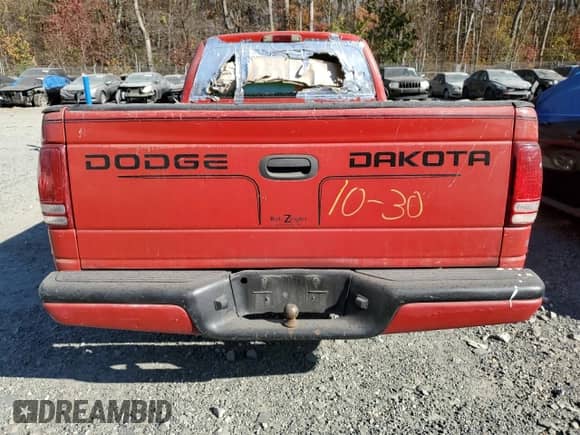 1999 Dodge Dakota SLT with VIN 1B7FL26X0XS233747, listed as a Copart auction lot 78819034 with 231,948 mi miles and Salvage title. Bid and sale history available at DreamBid. Image 6.